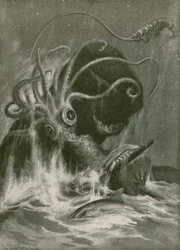 Kraken gegen Pottwal